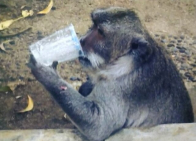 年末年始お休みのお知らせ